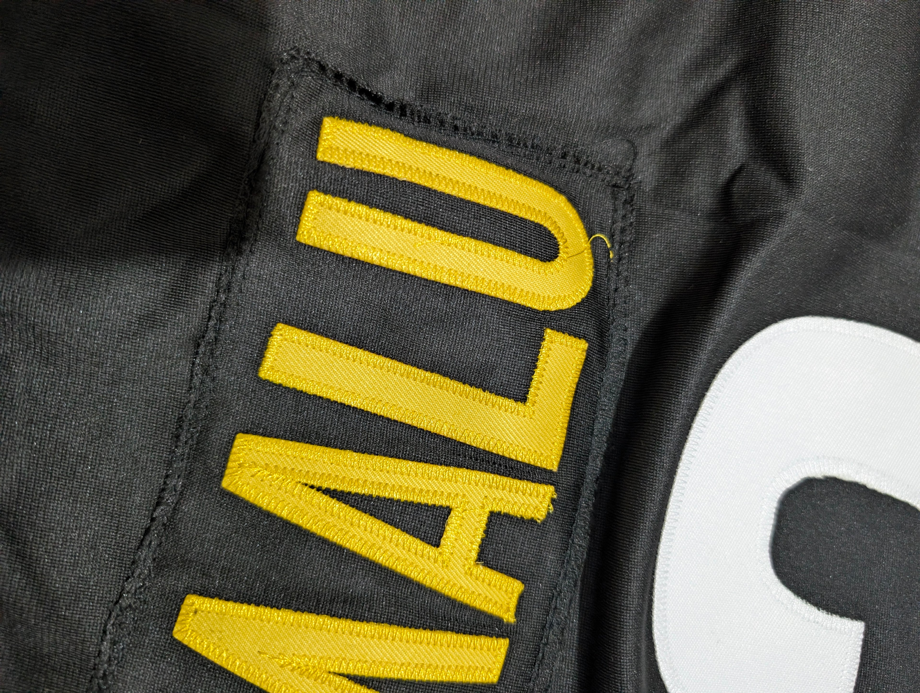 Steelers POLAMALU Num 43