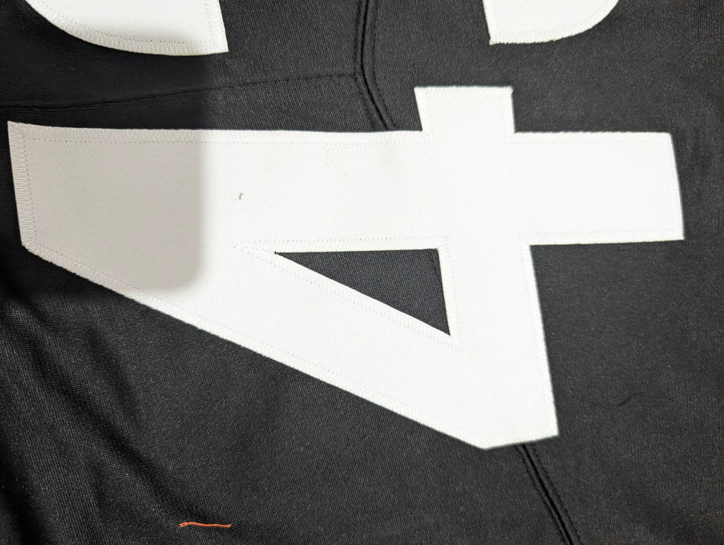 Steelers POLAMALU Num 43