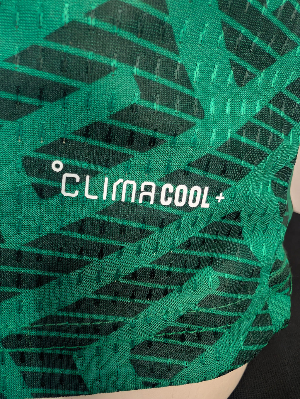 Selección Mexicana verde versión jugador