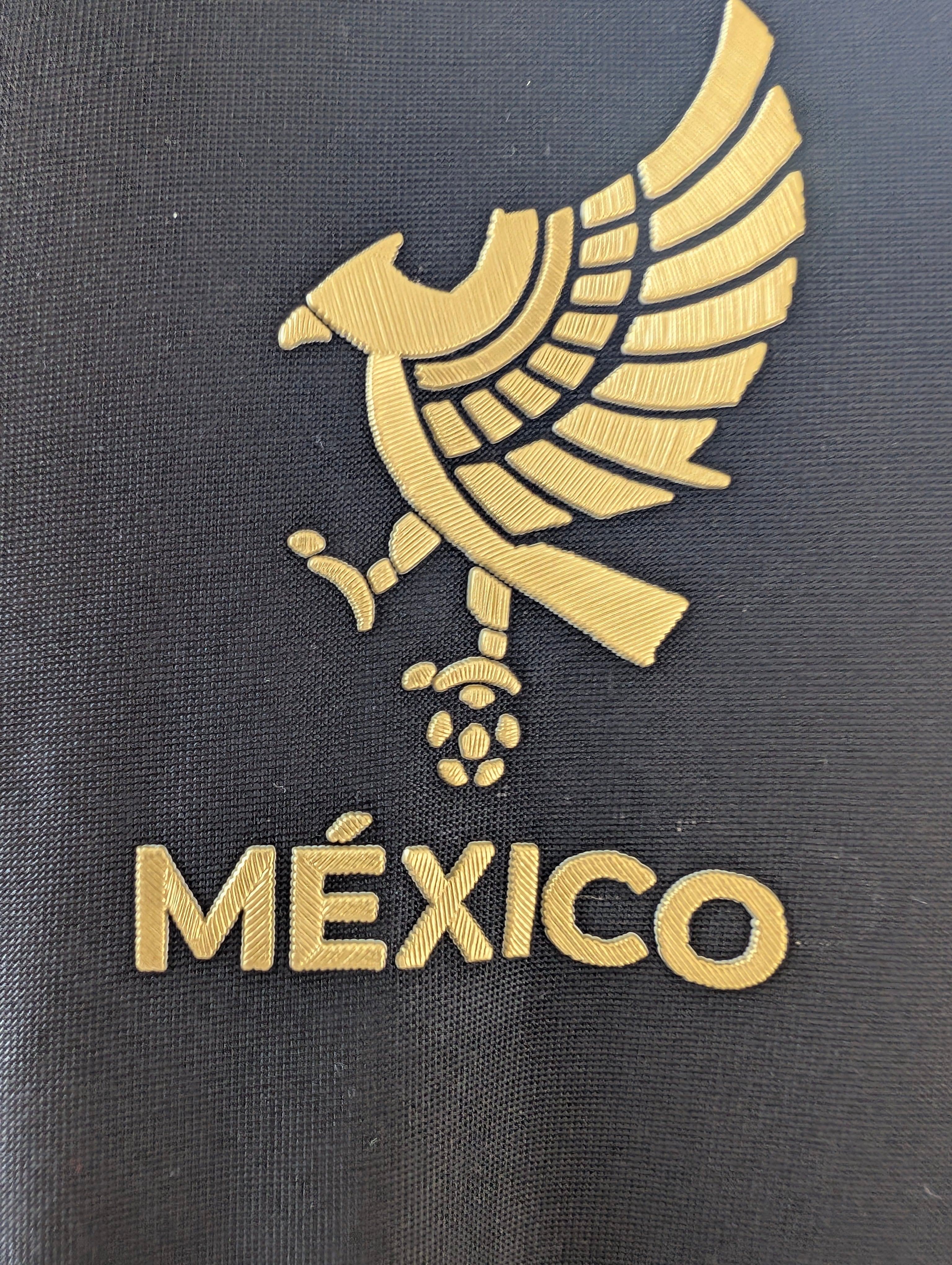 Selección Mexicana negra versión jugador