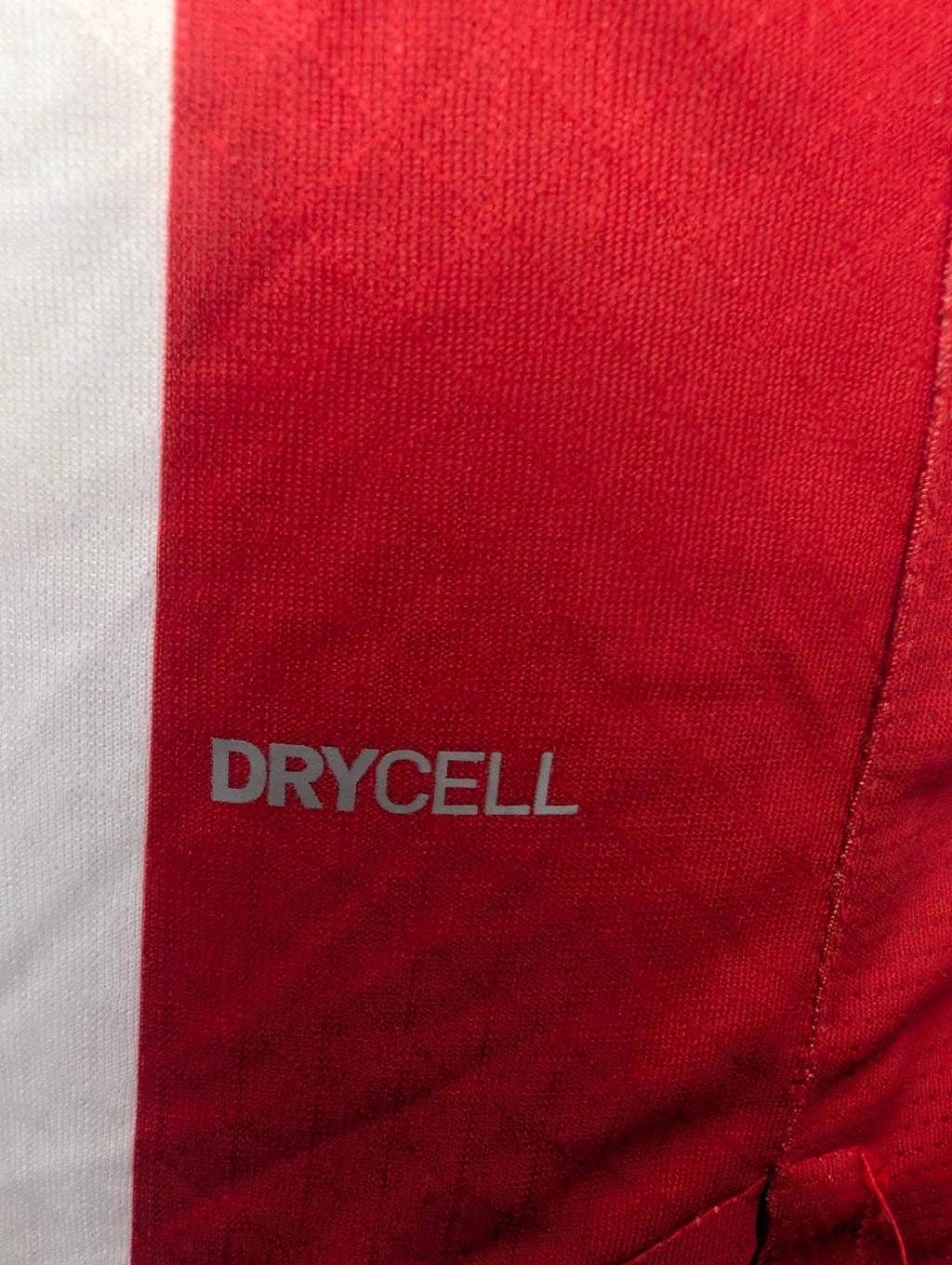 Club Guadalajara versión jugador