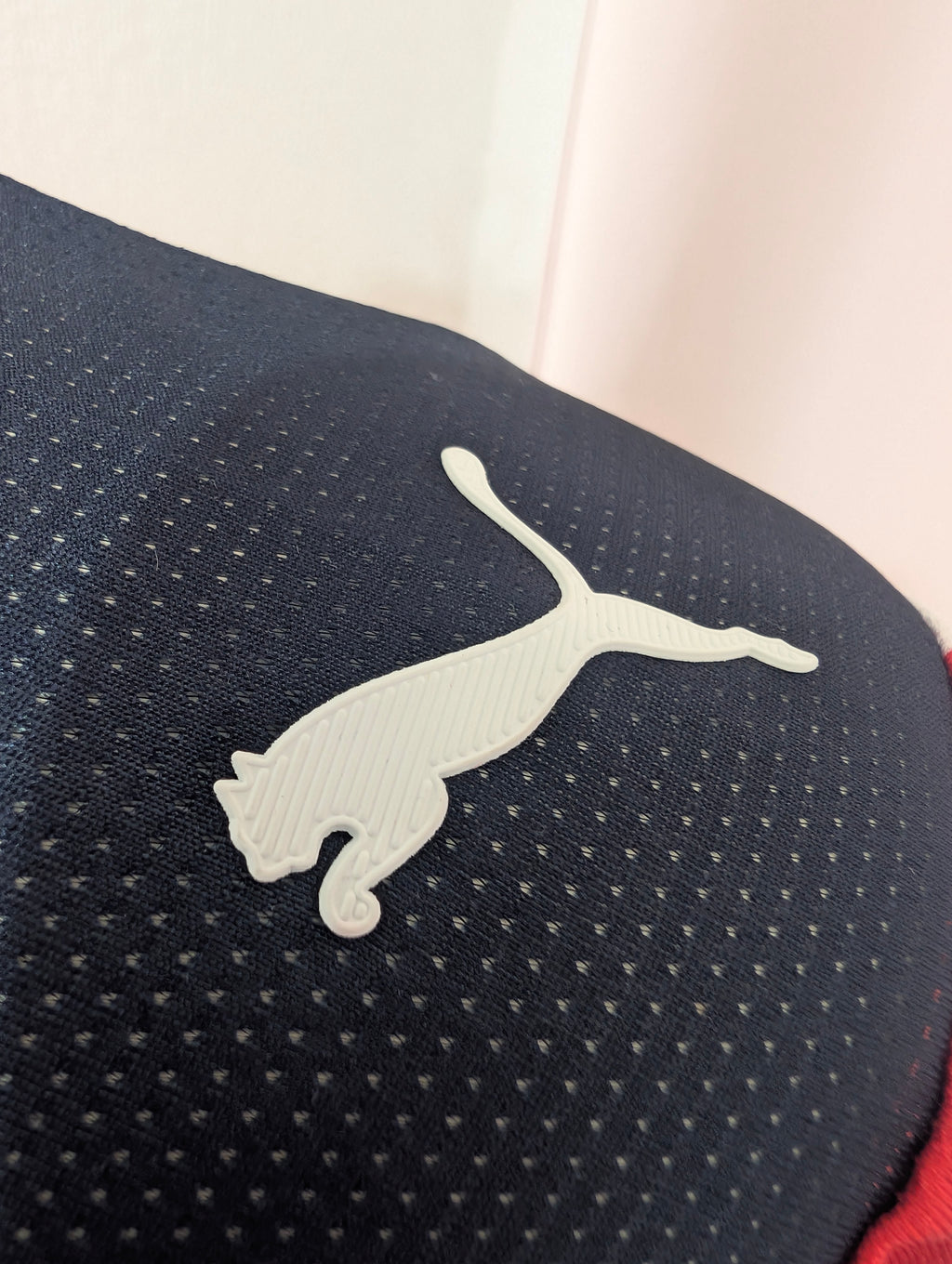 Club Guadalajara versión jugador