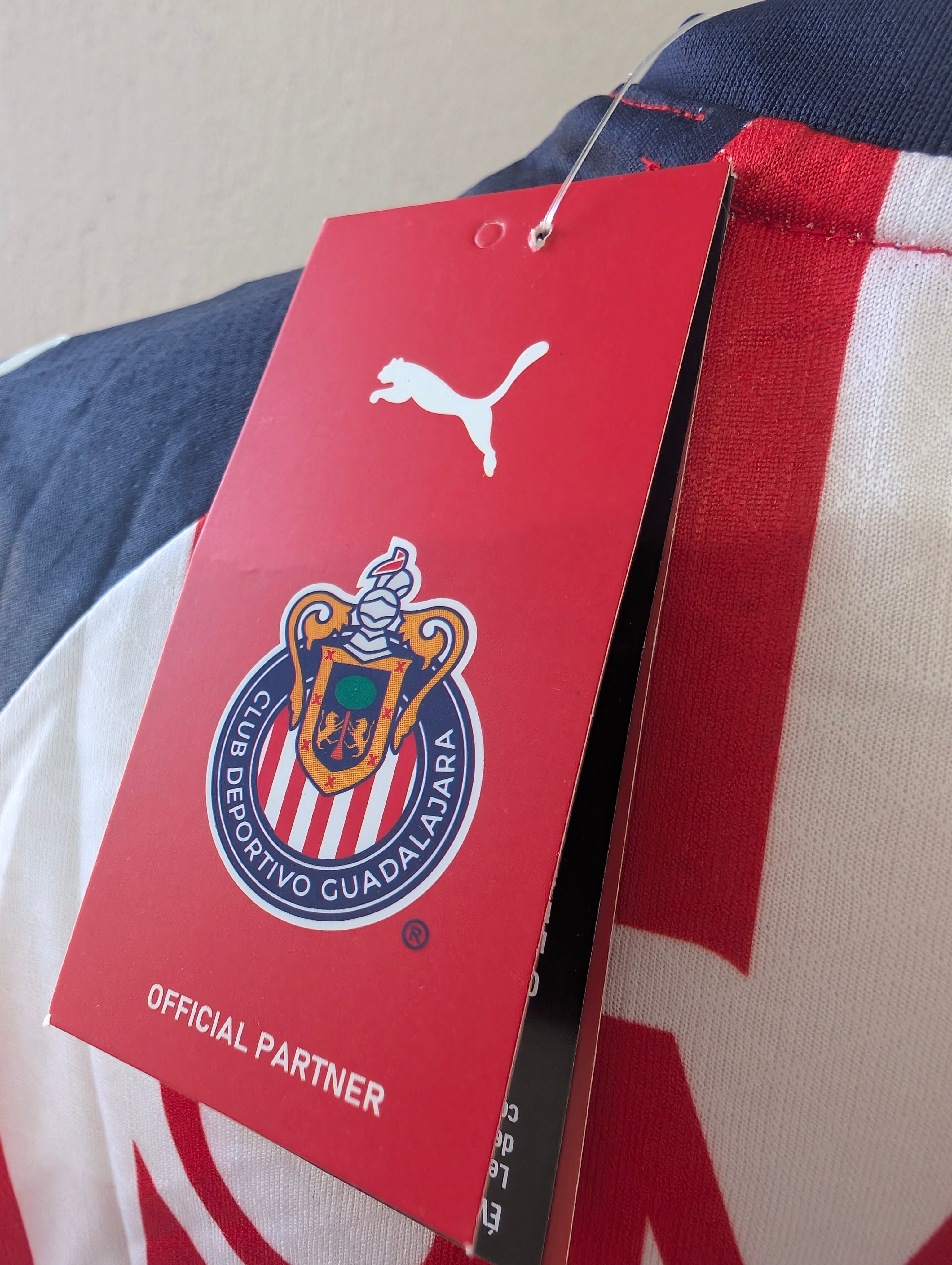 Club Guadalajara versión jugador